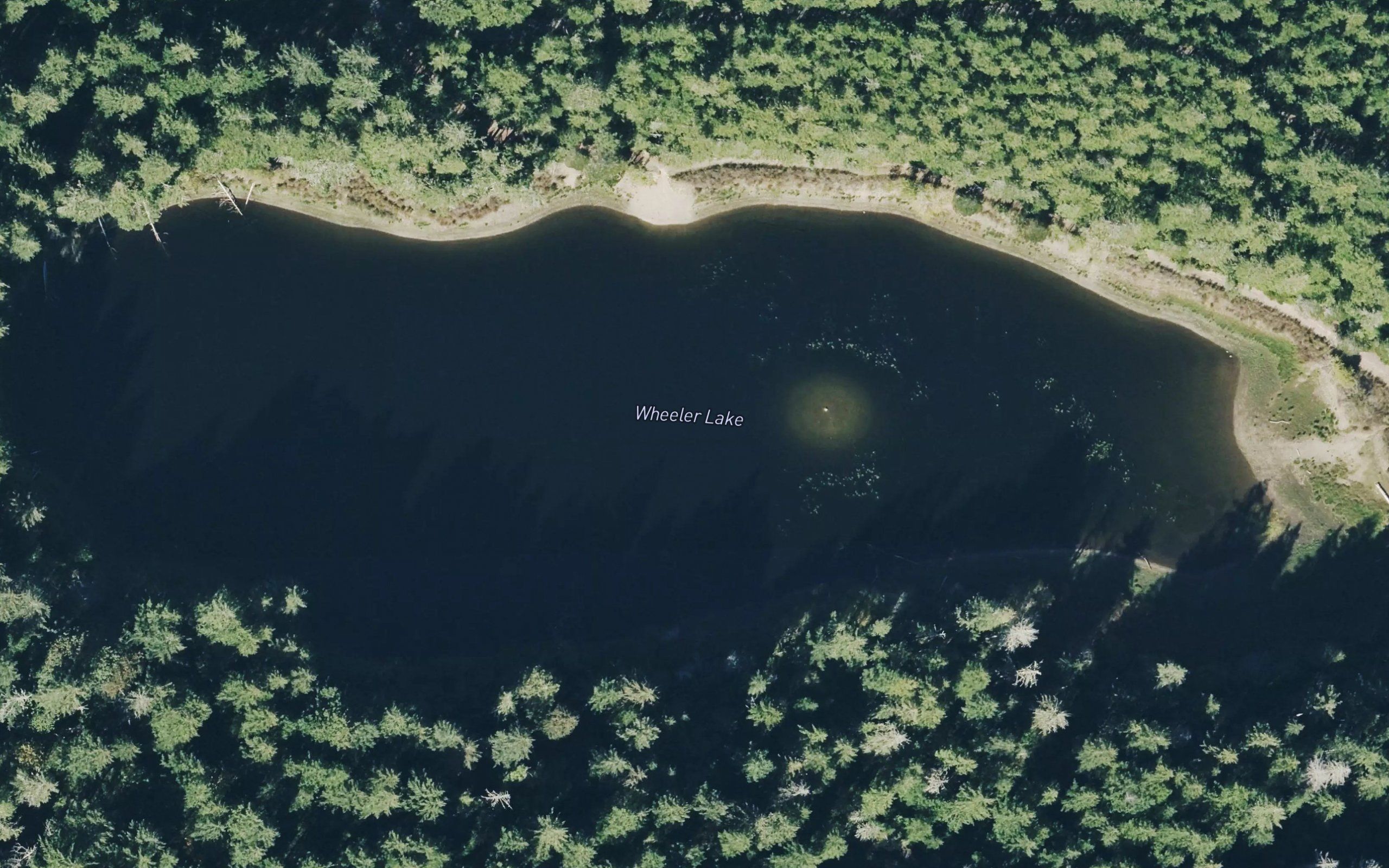 Wheeler Lake