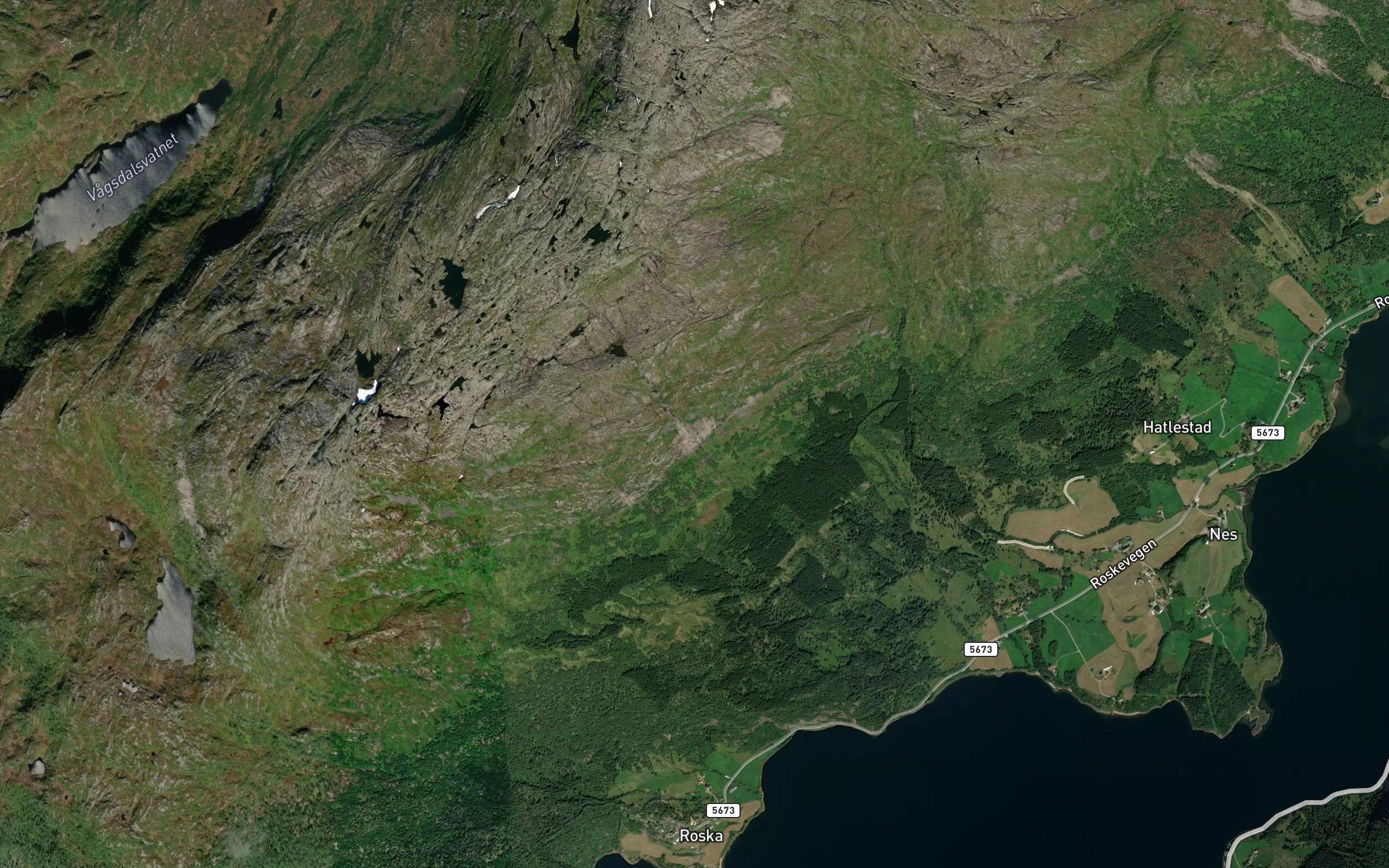 Kvamselva