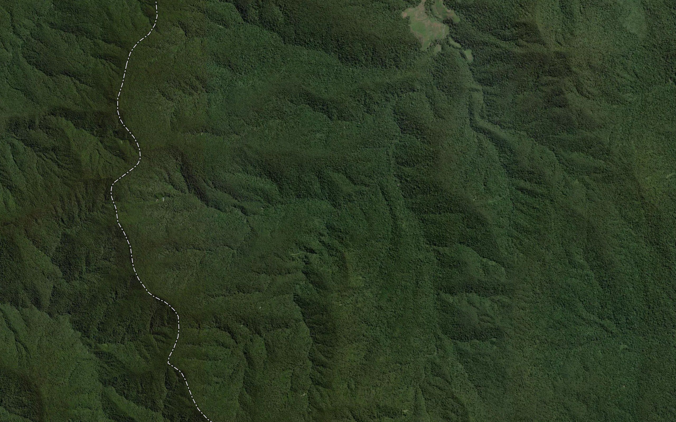 Ue Koha