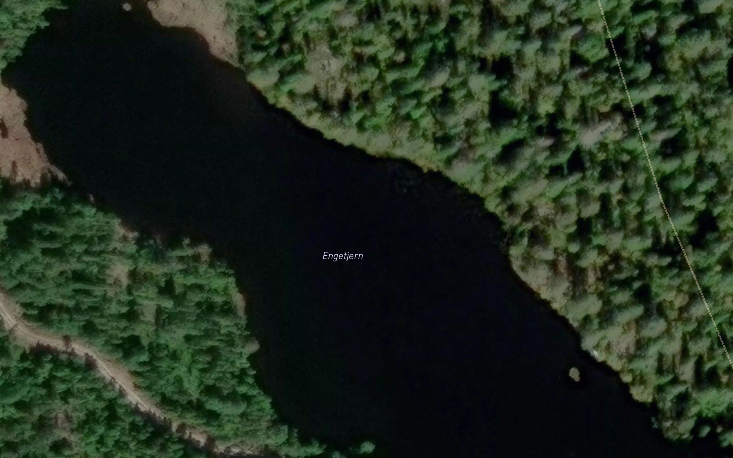 Engtjern