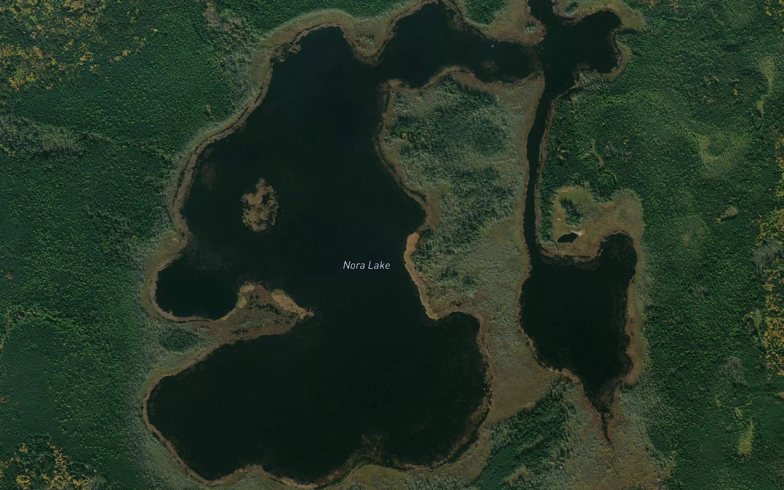 Nora Lake