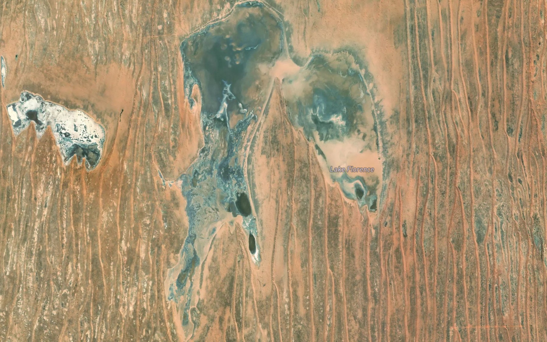 Satellite map of the Lake Florence