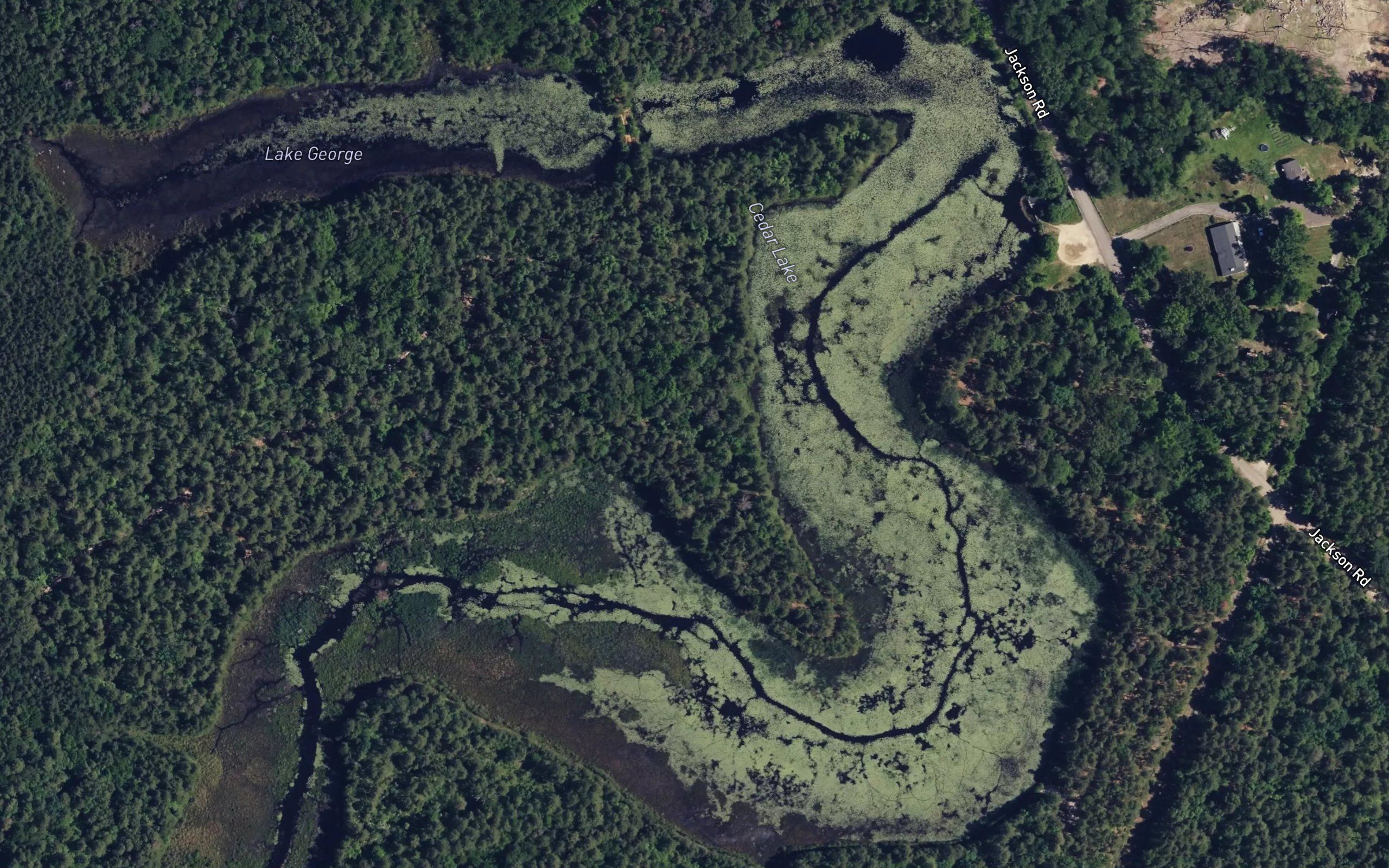 Cedar Lake