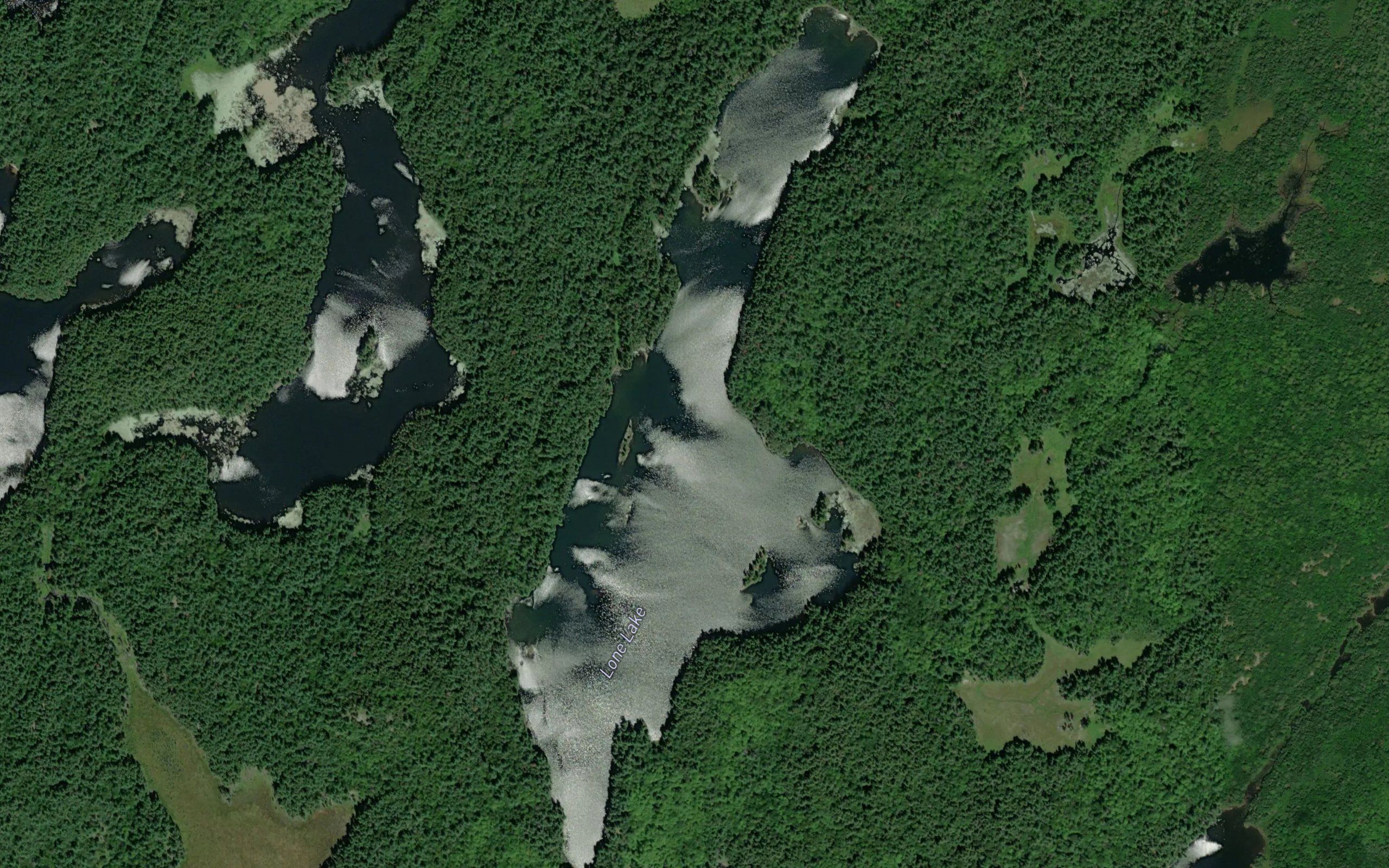Lone Lake