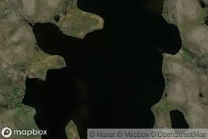 Njargajavri