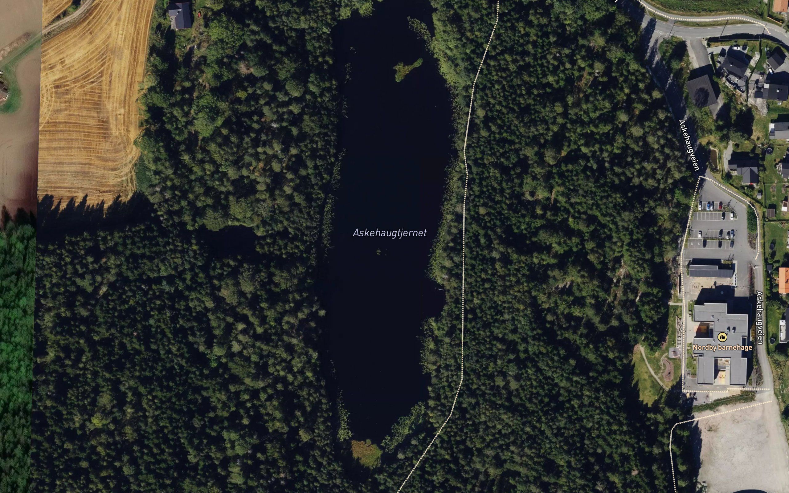 Askehaugtjernet