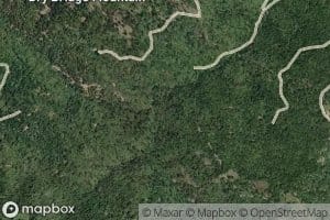 South Fork Minnie Creek