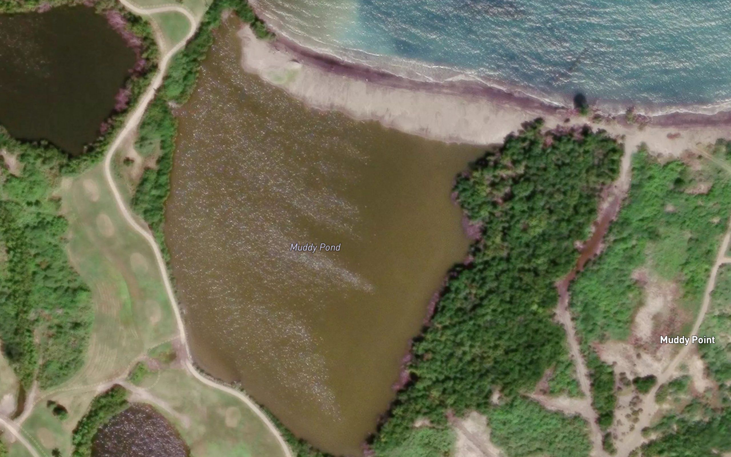 Muddy Pond