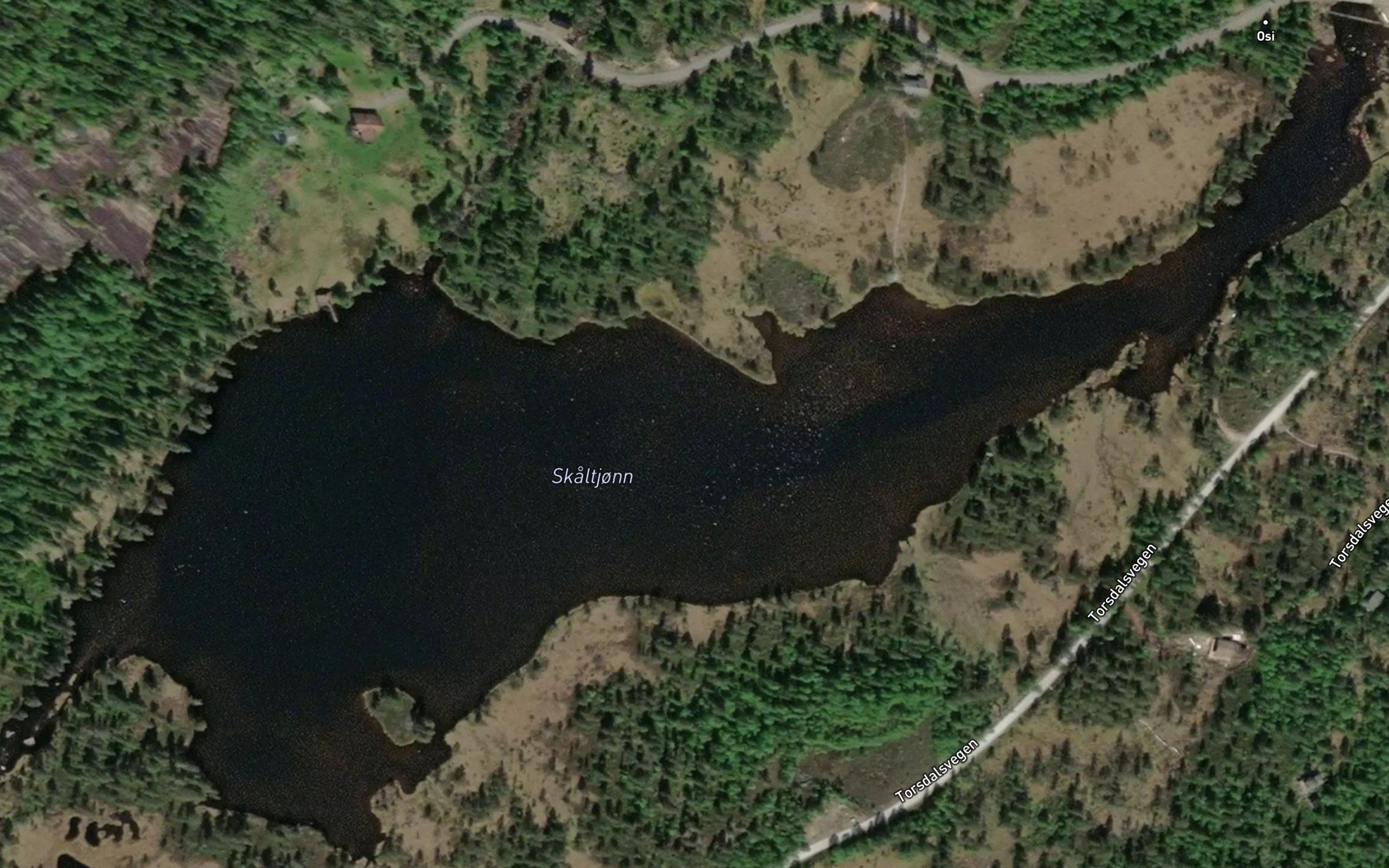 Skaltjorn