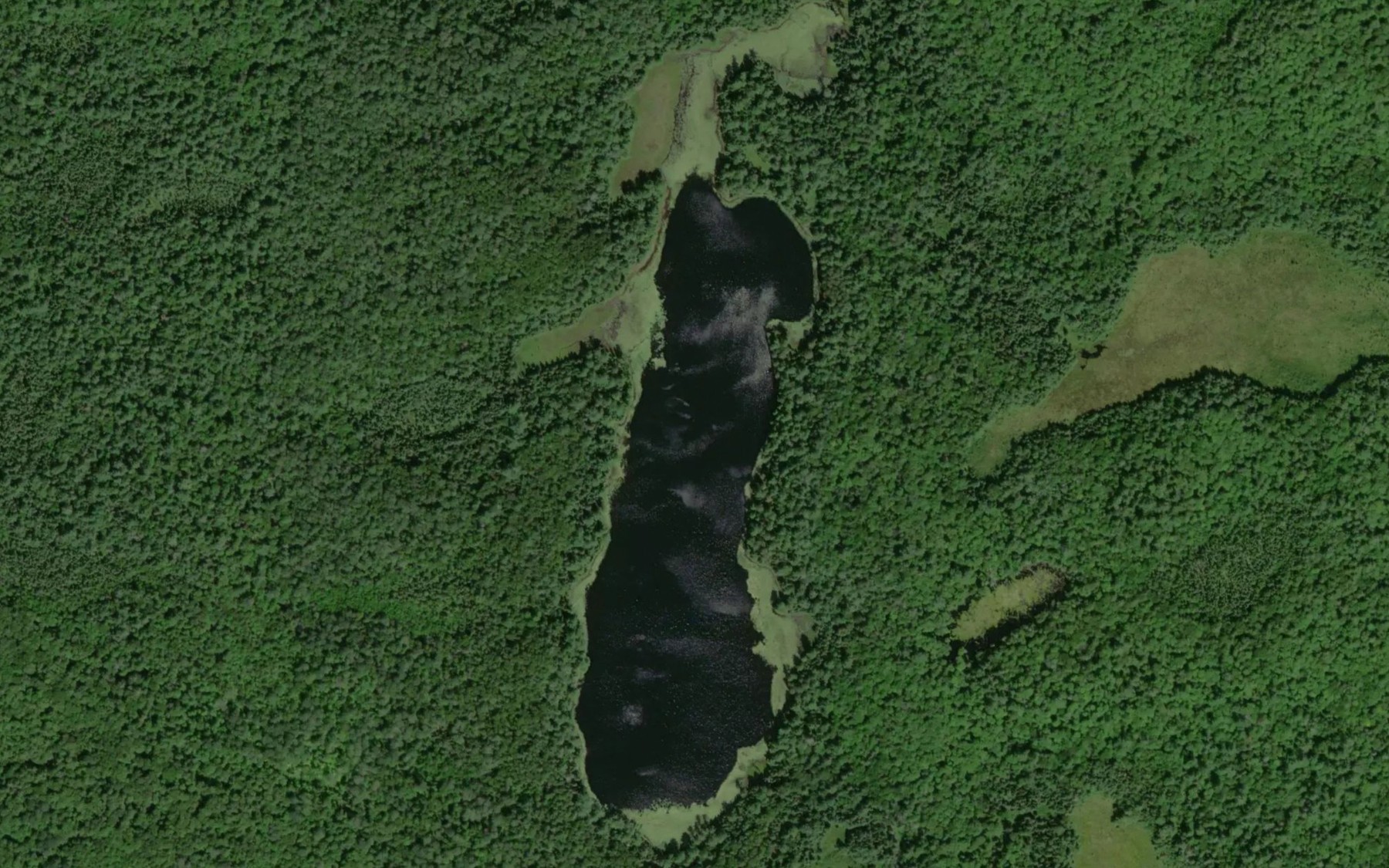 Satellite map of the Redhead Lake