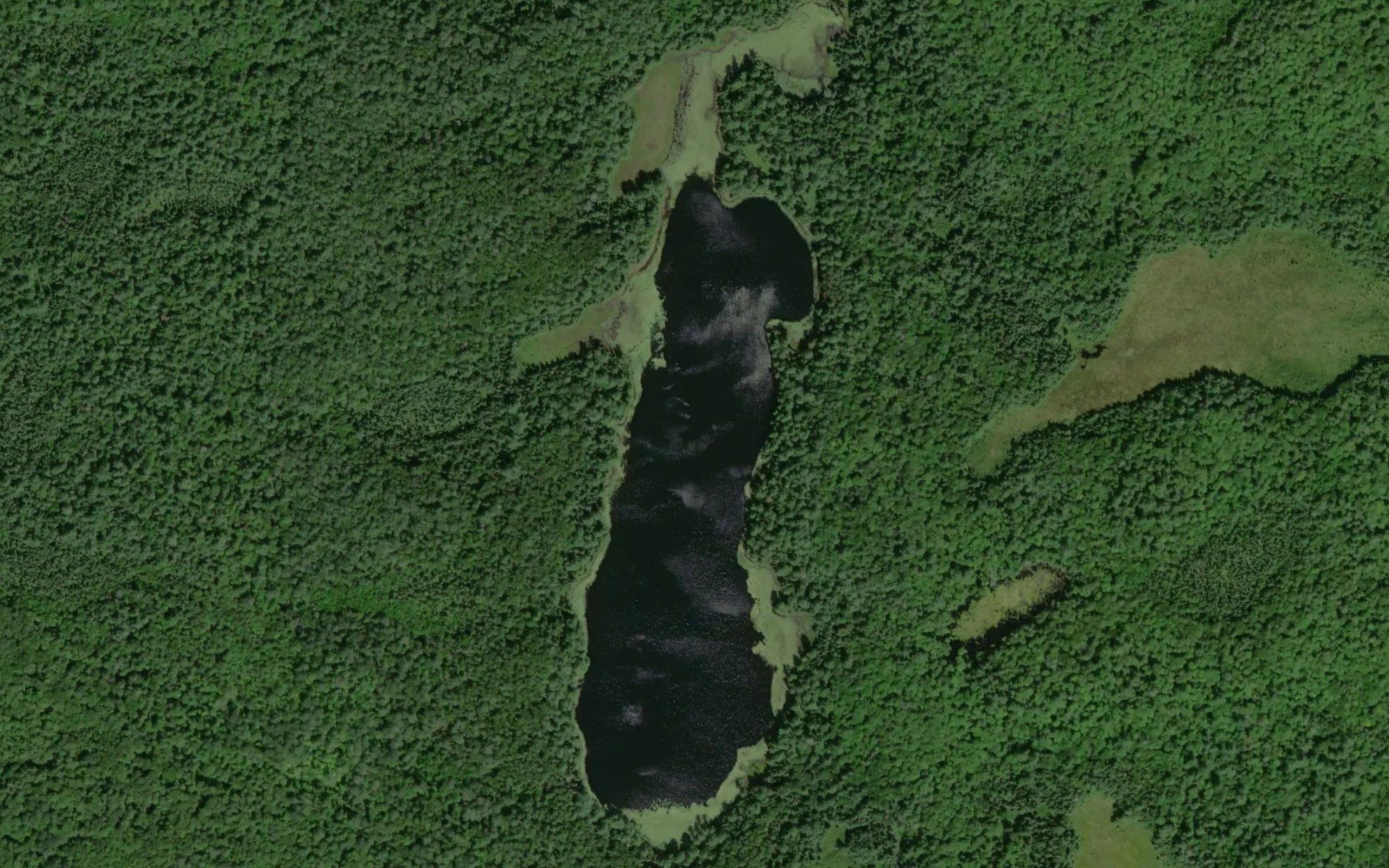 Redhead Lake