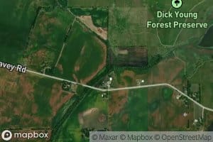 Lake Run Nelson Lake Branch