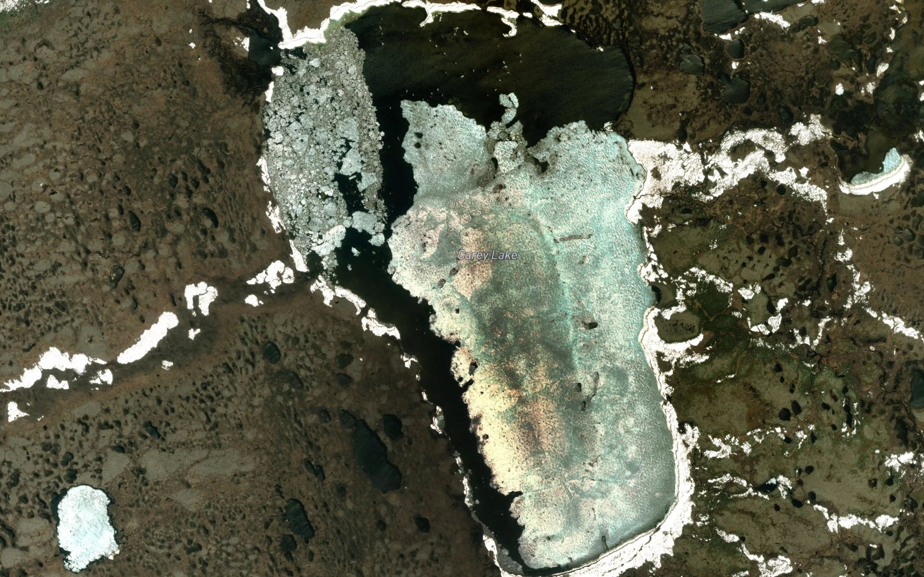 Satellite map of the Carey Lake