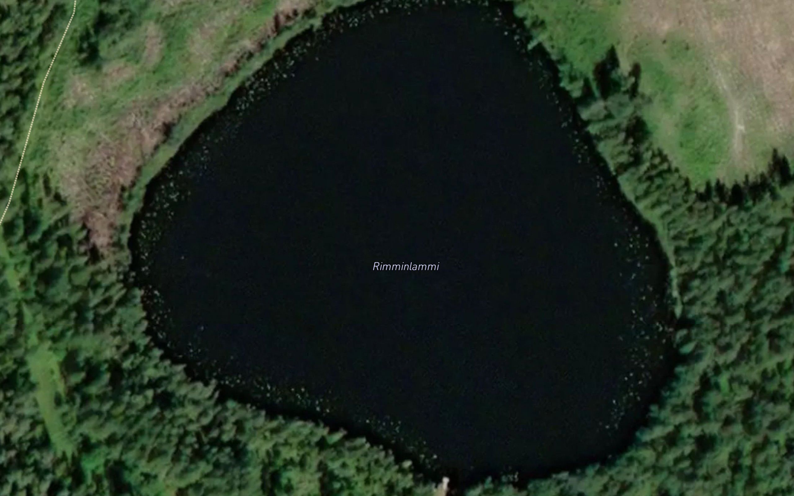 Rimminlammi