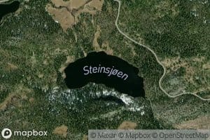 Steinsjoen