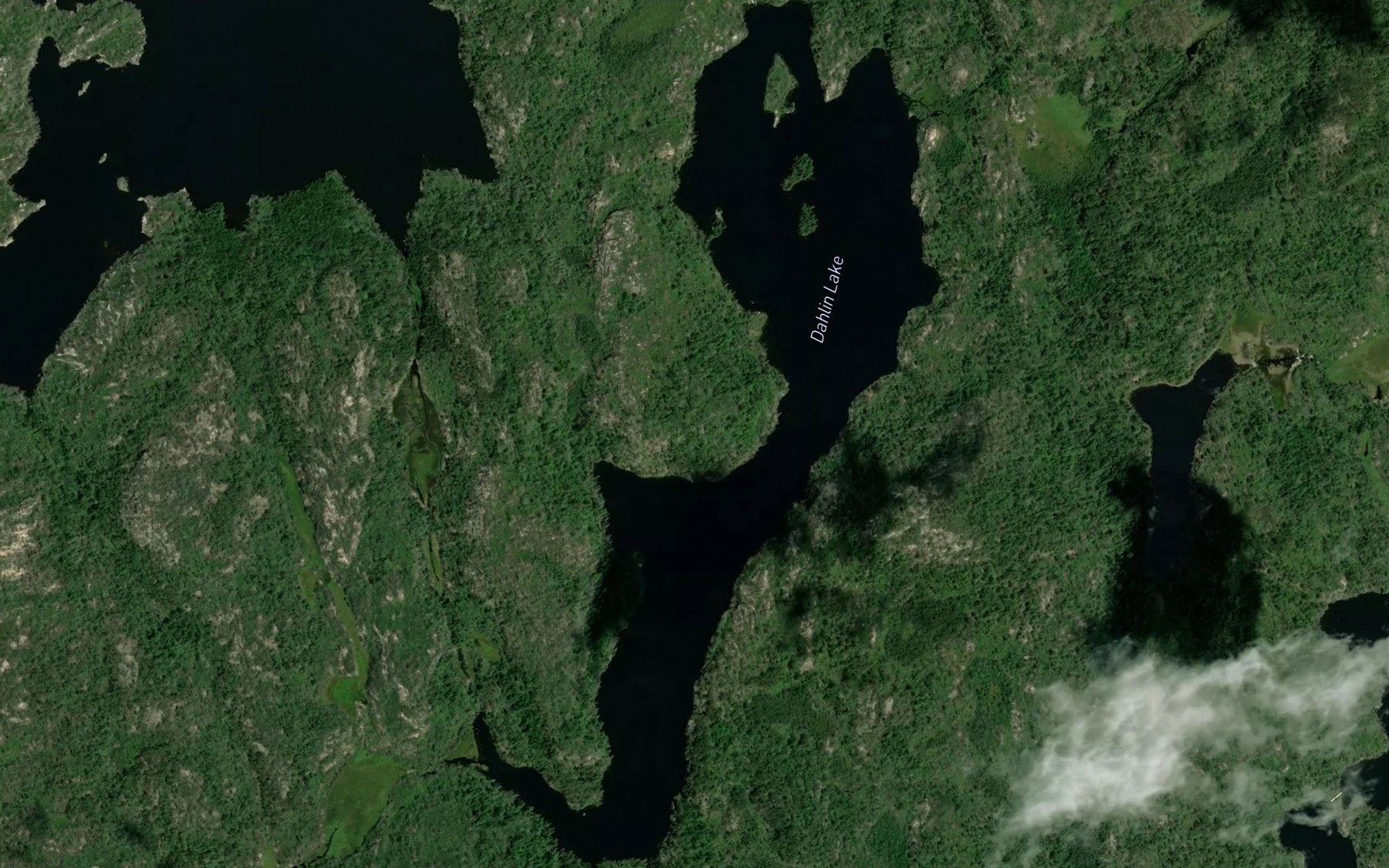 Satellite map of the Dahlin Lake