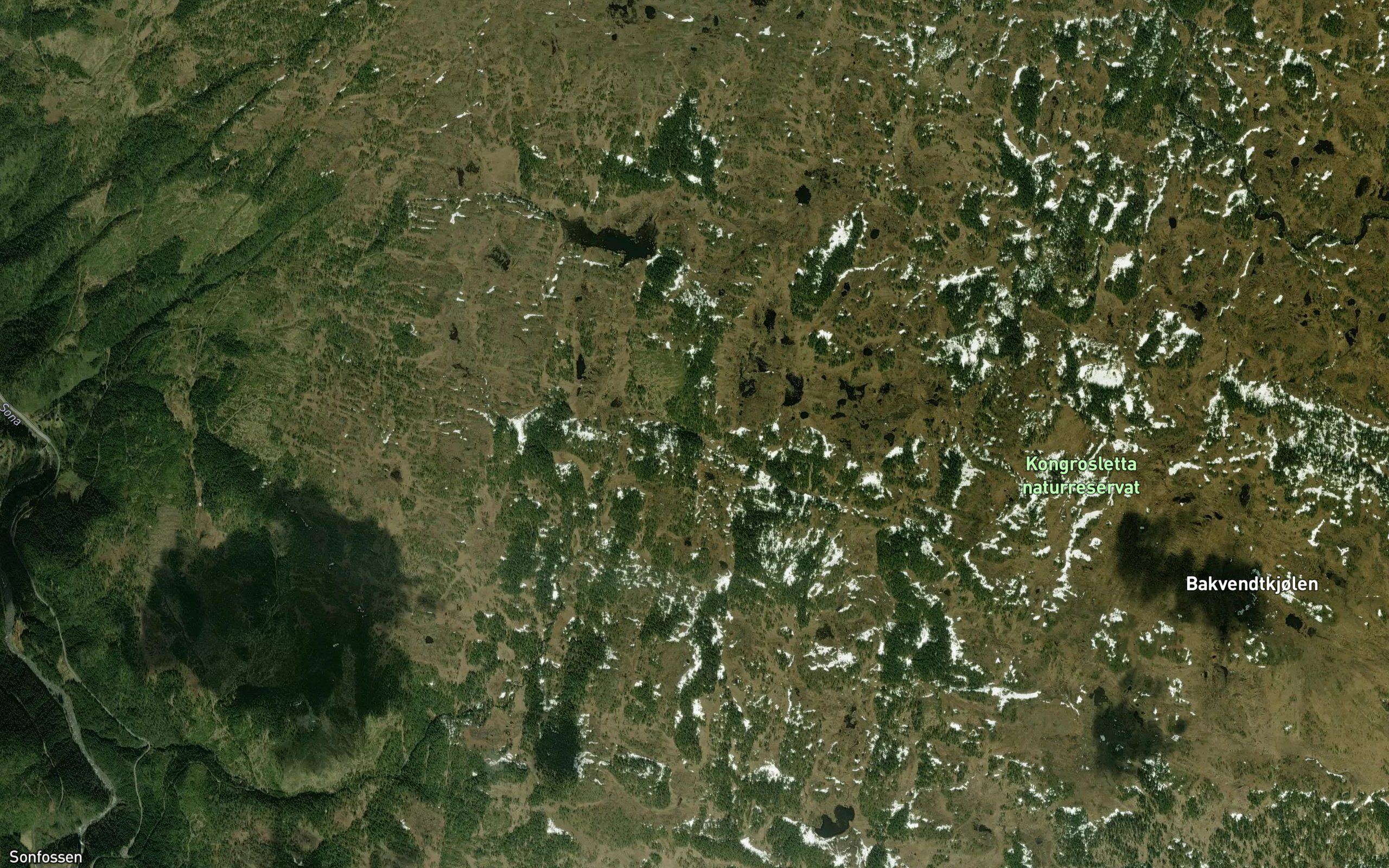 Nevladalsbekken