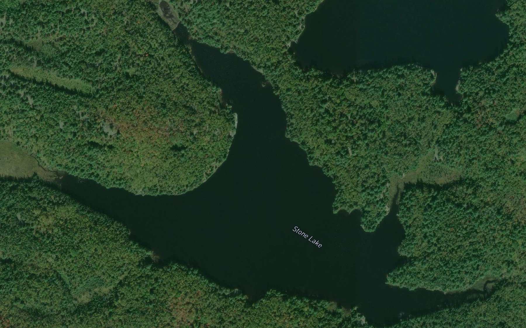 Satellite map of the Stone Lake