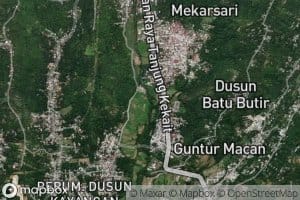 Kokok Tibuambung