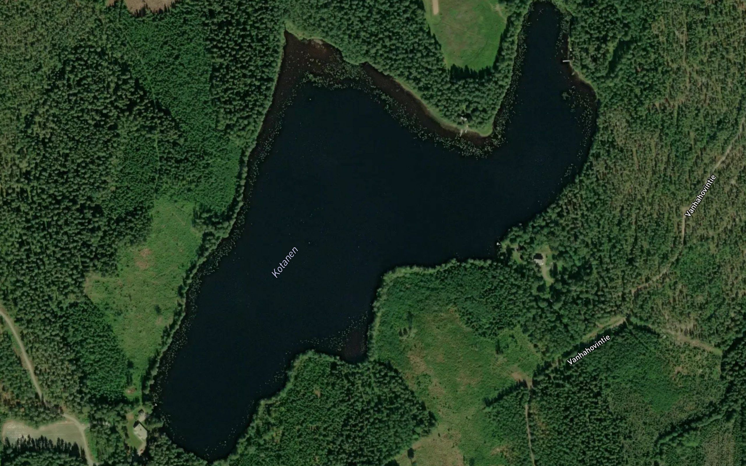 Kotanen