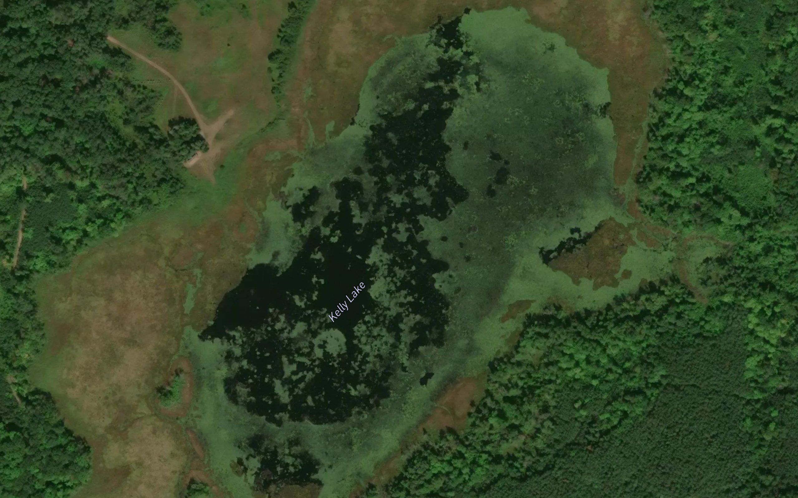 Kelly Lake