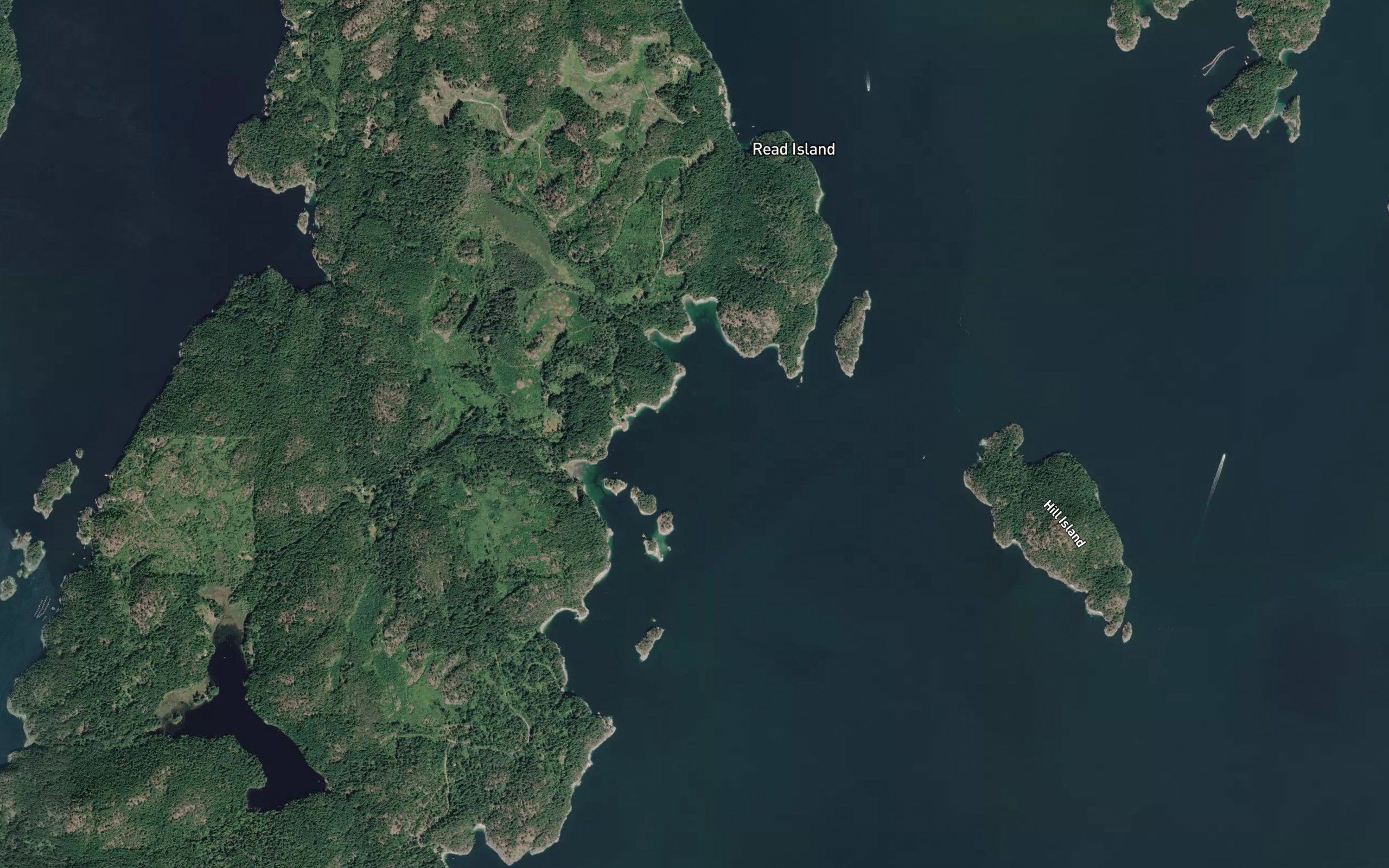 Burdwood Bay