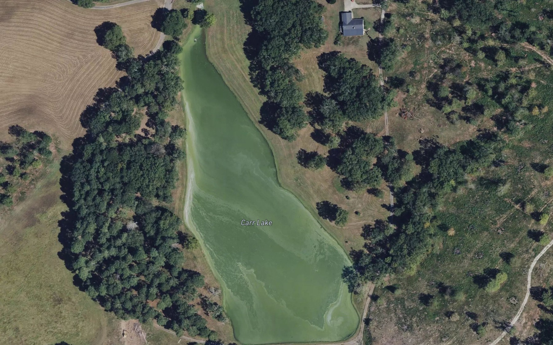 Satellite map of the Carr Lake