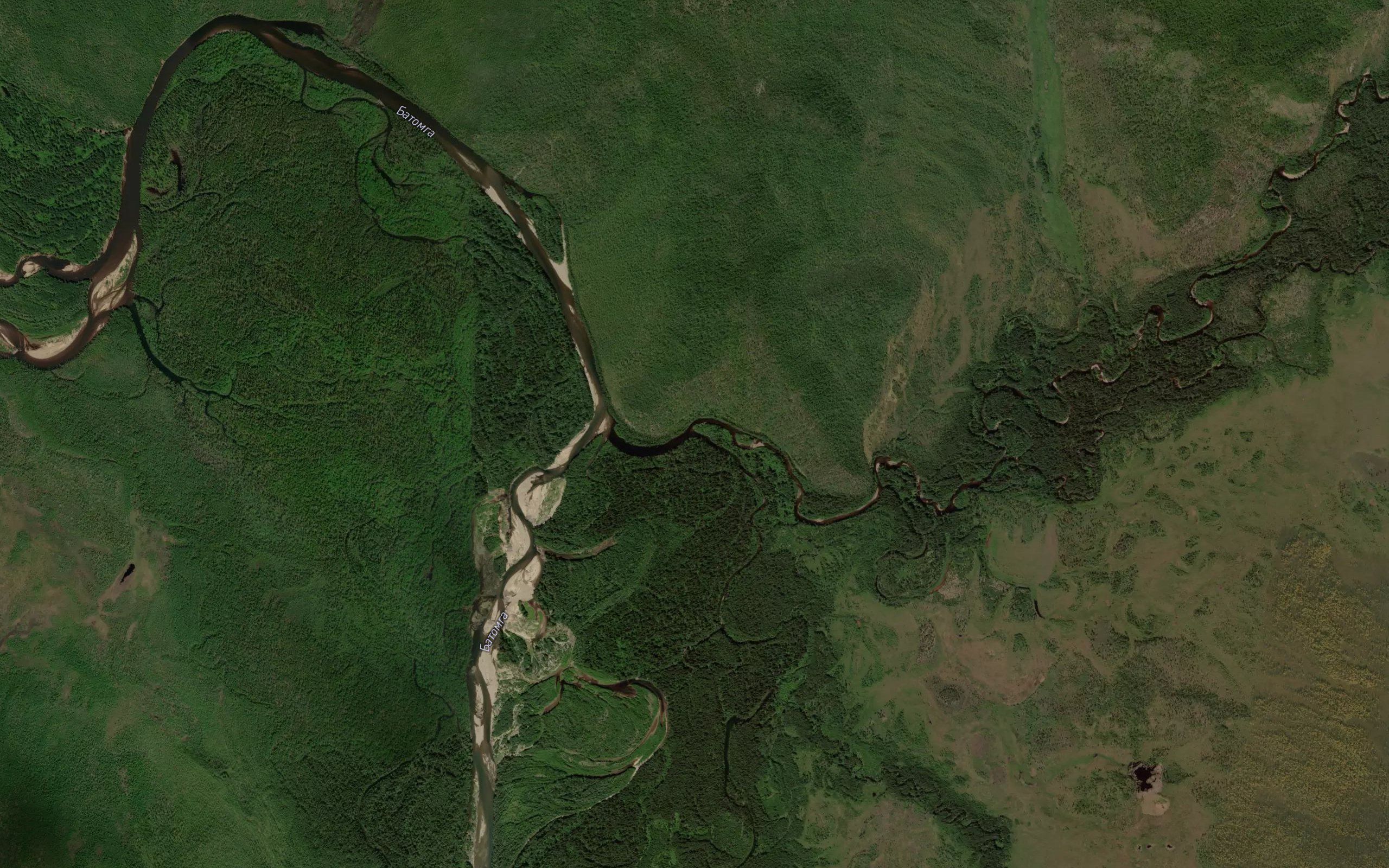 Tonekan