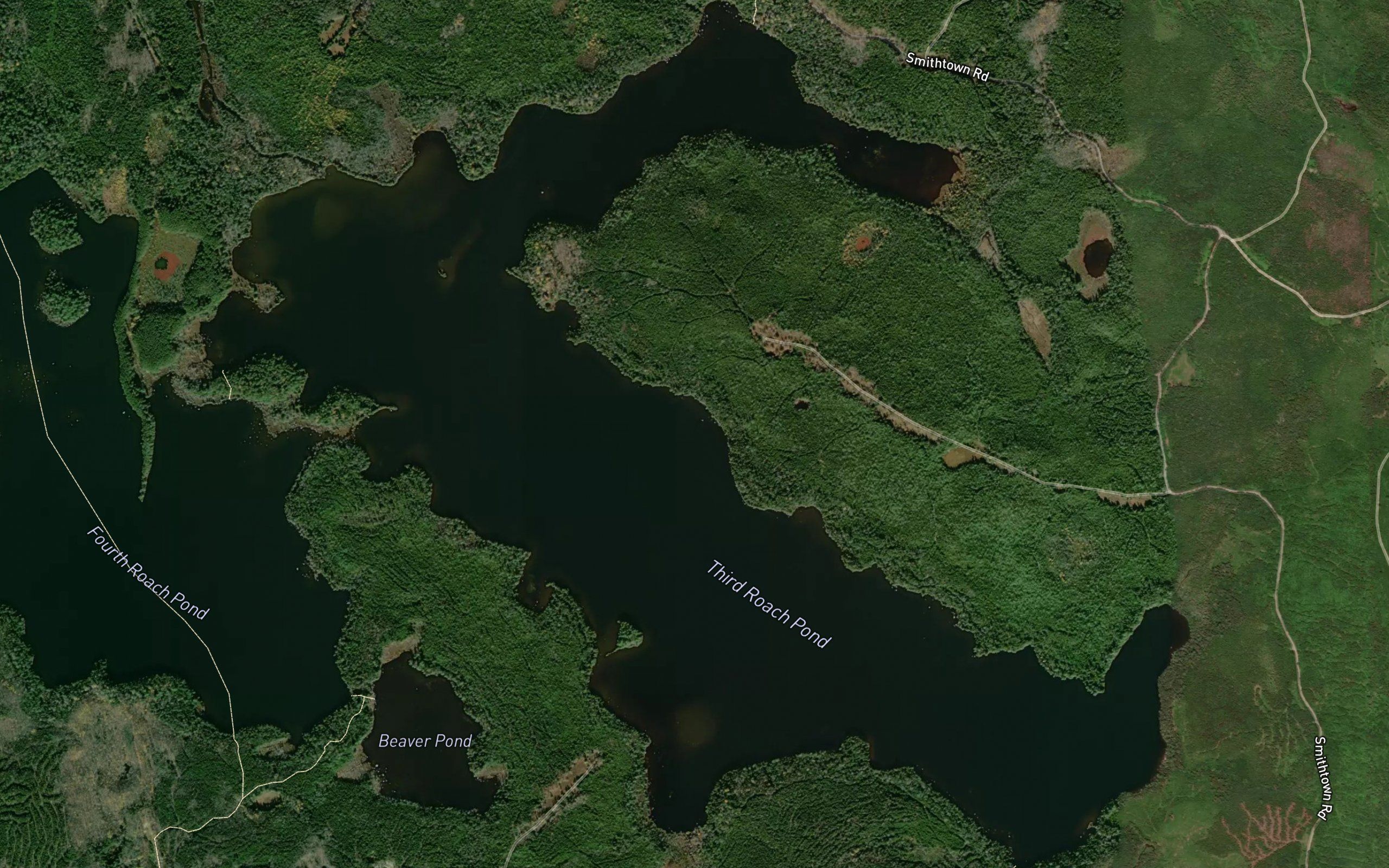 Third Roach Pond