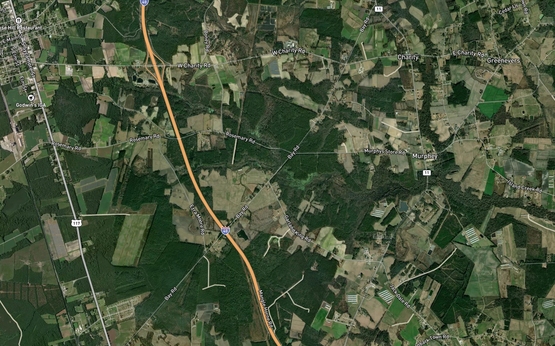 Satellite map of the Reedy Branch