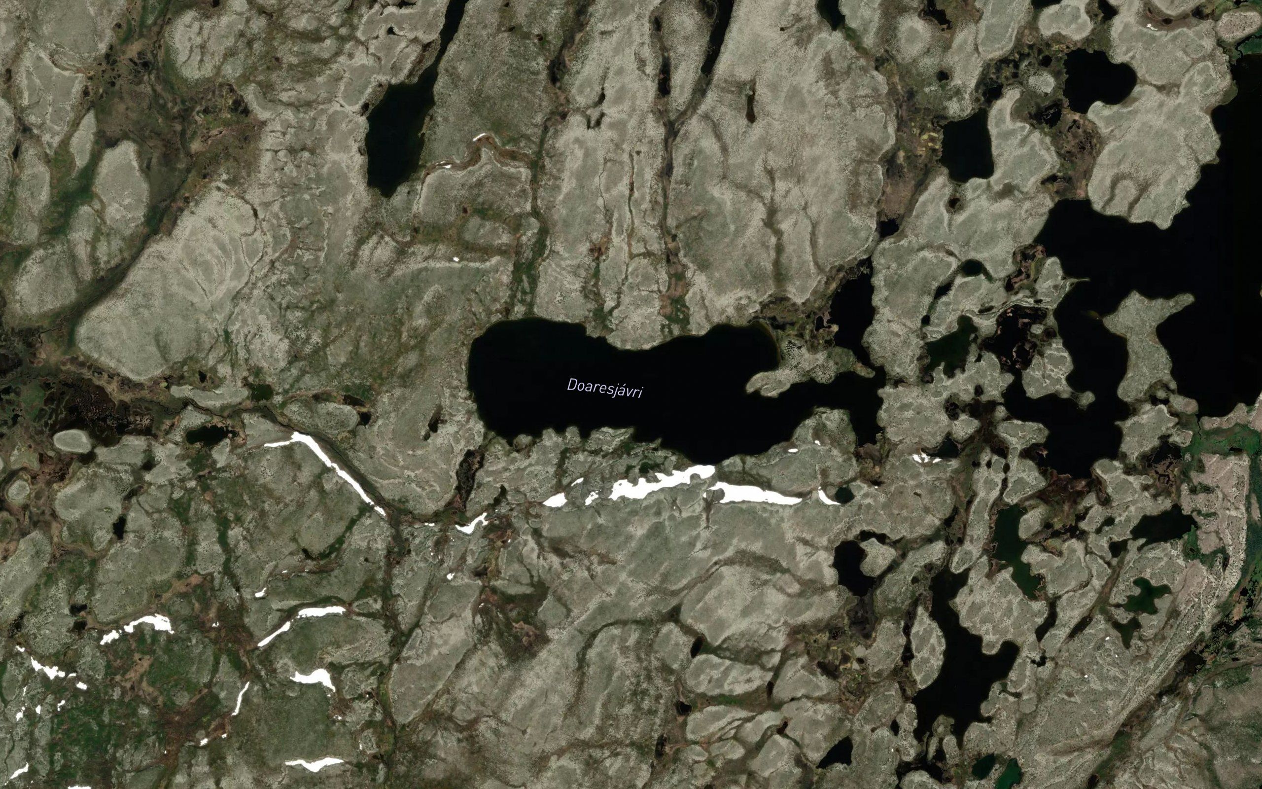 Doaresjavri