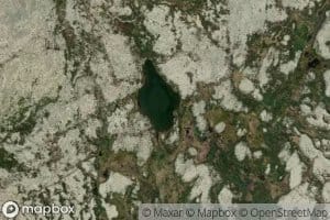 Brennflytjorna