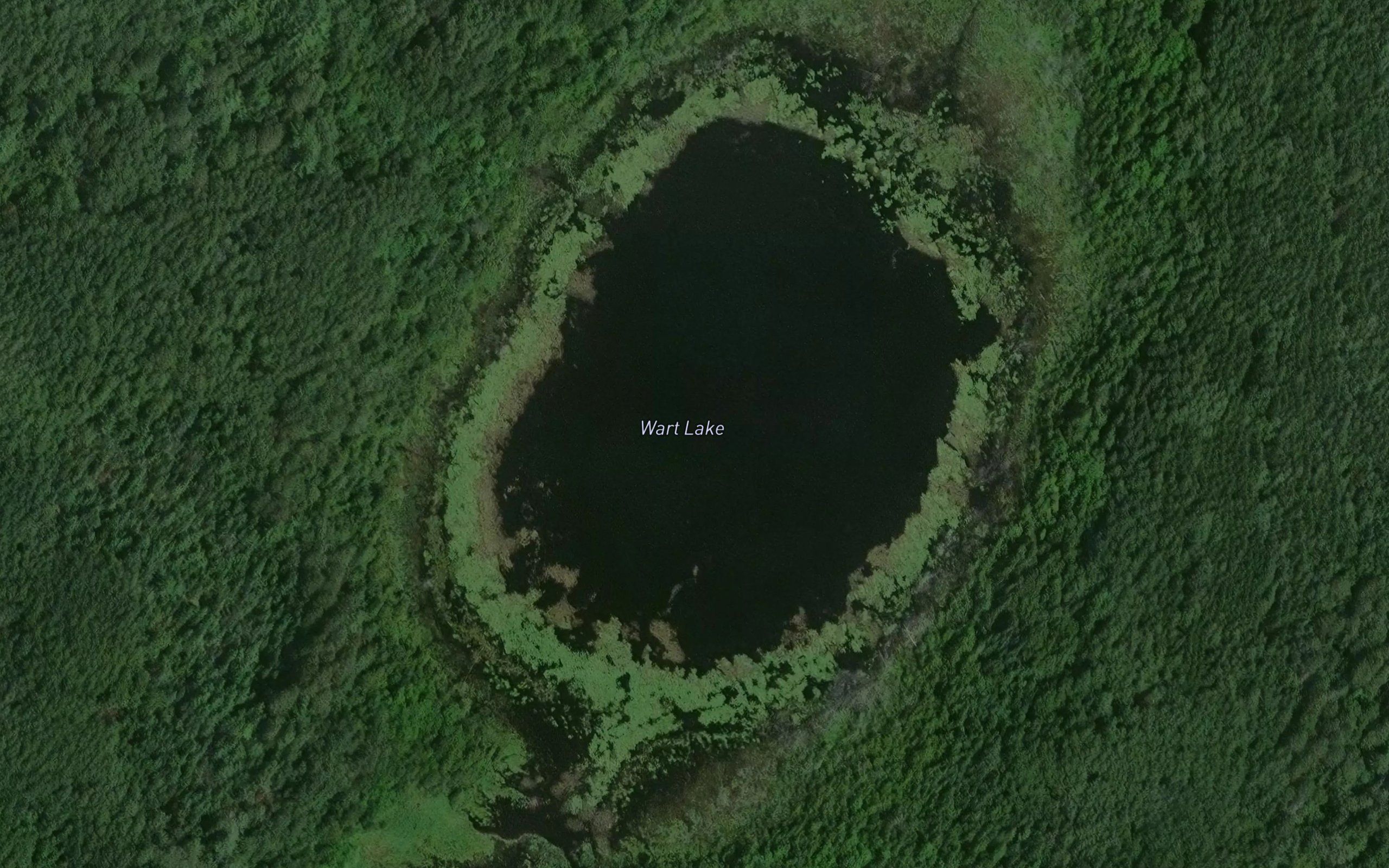 Wart Lake