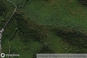 South Branch Laurel Run