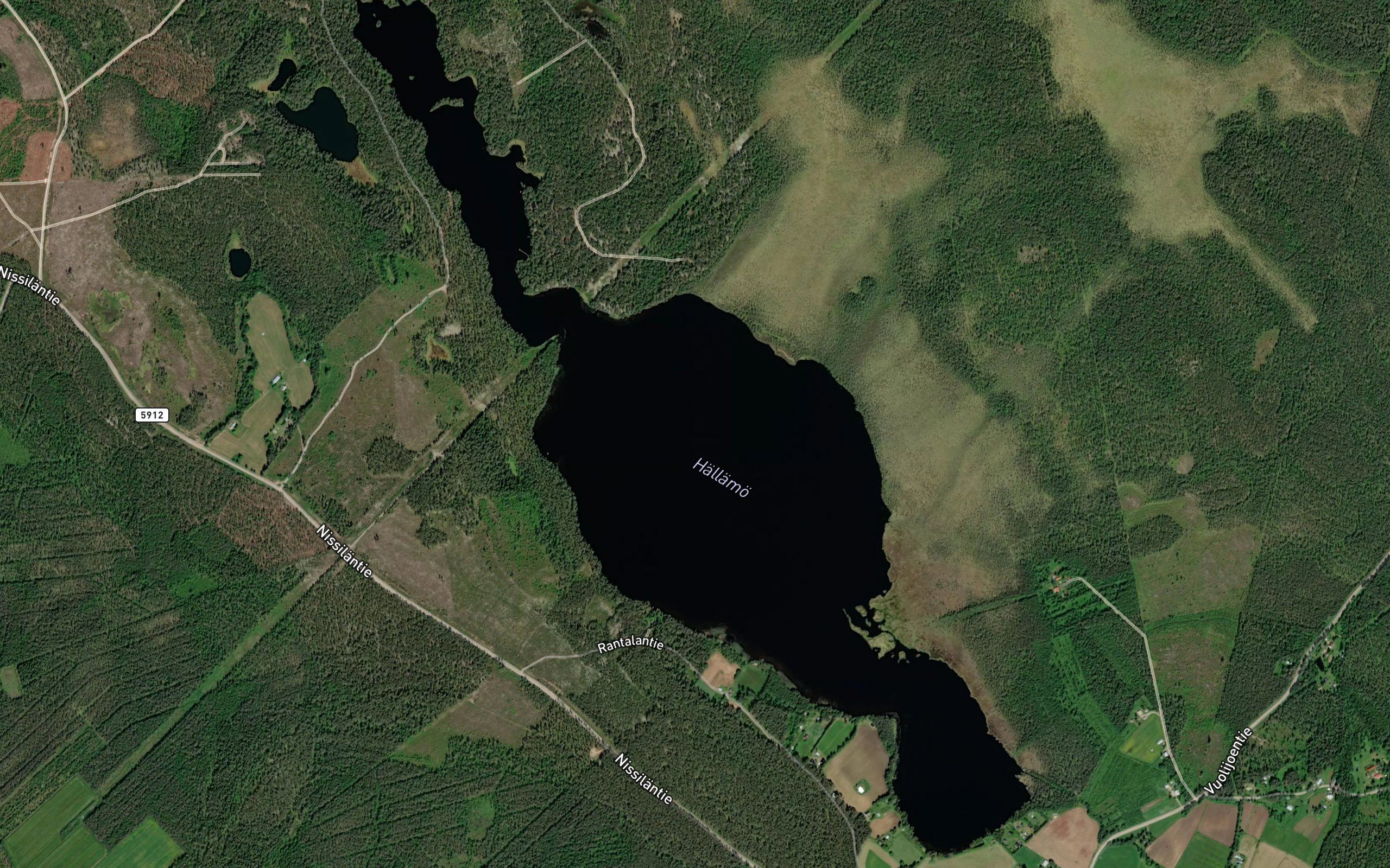Hallanen