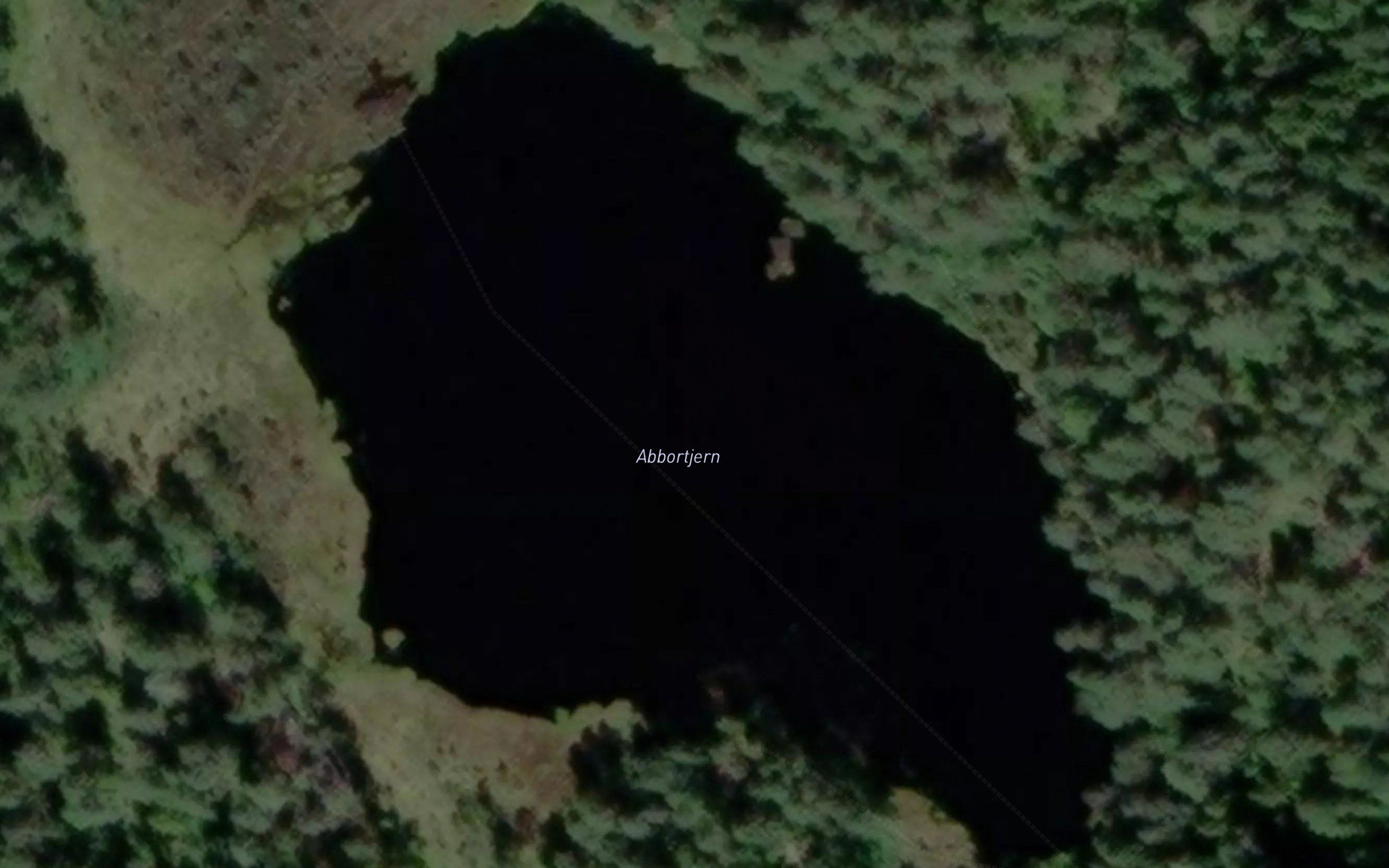 Abbortjern