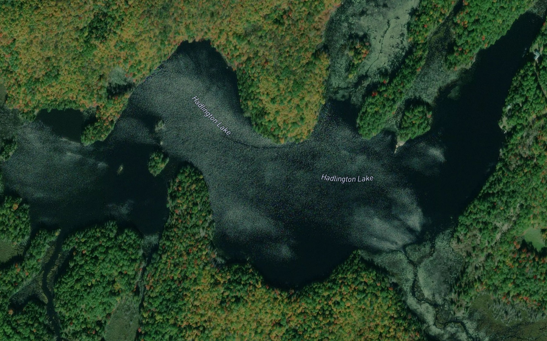 Satellite map of the Hadlington Lake