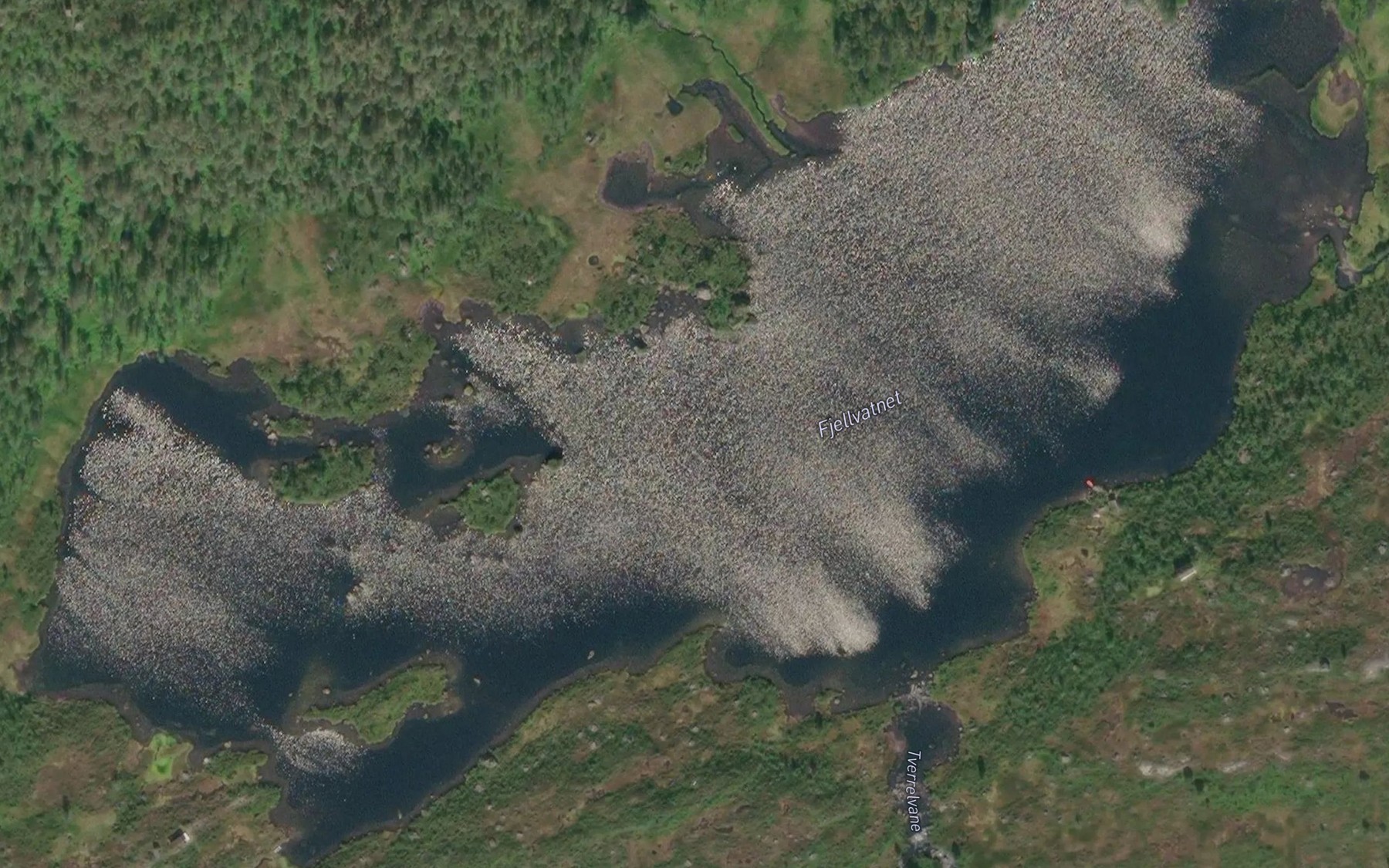 Satellite map of the Fjellevatnet