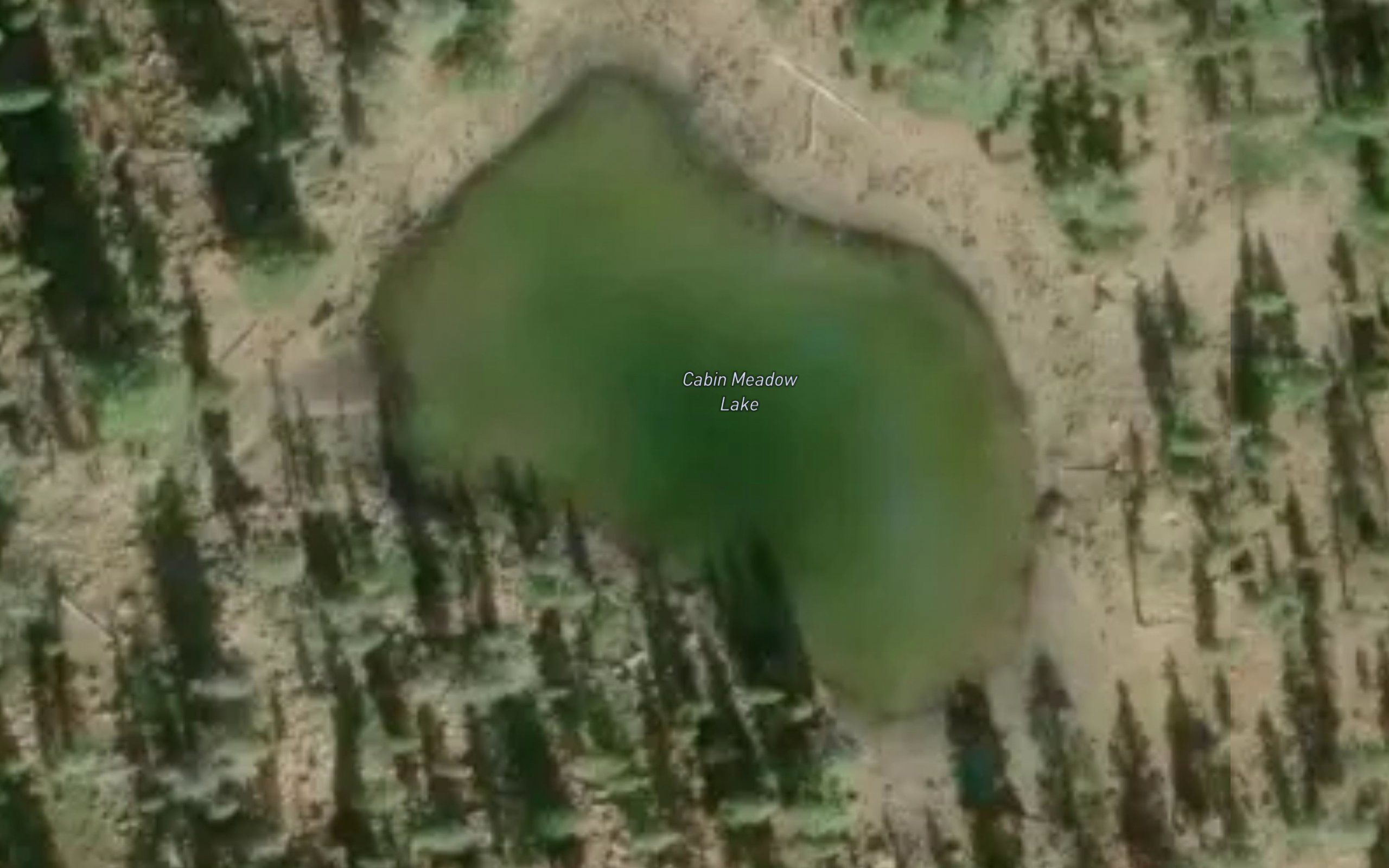 Cabin Meadow Lake