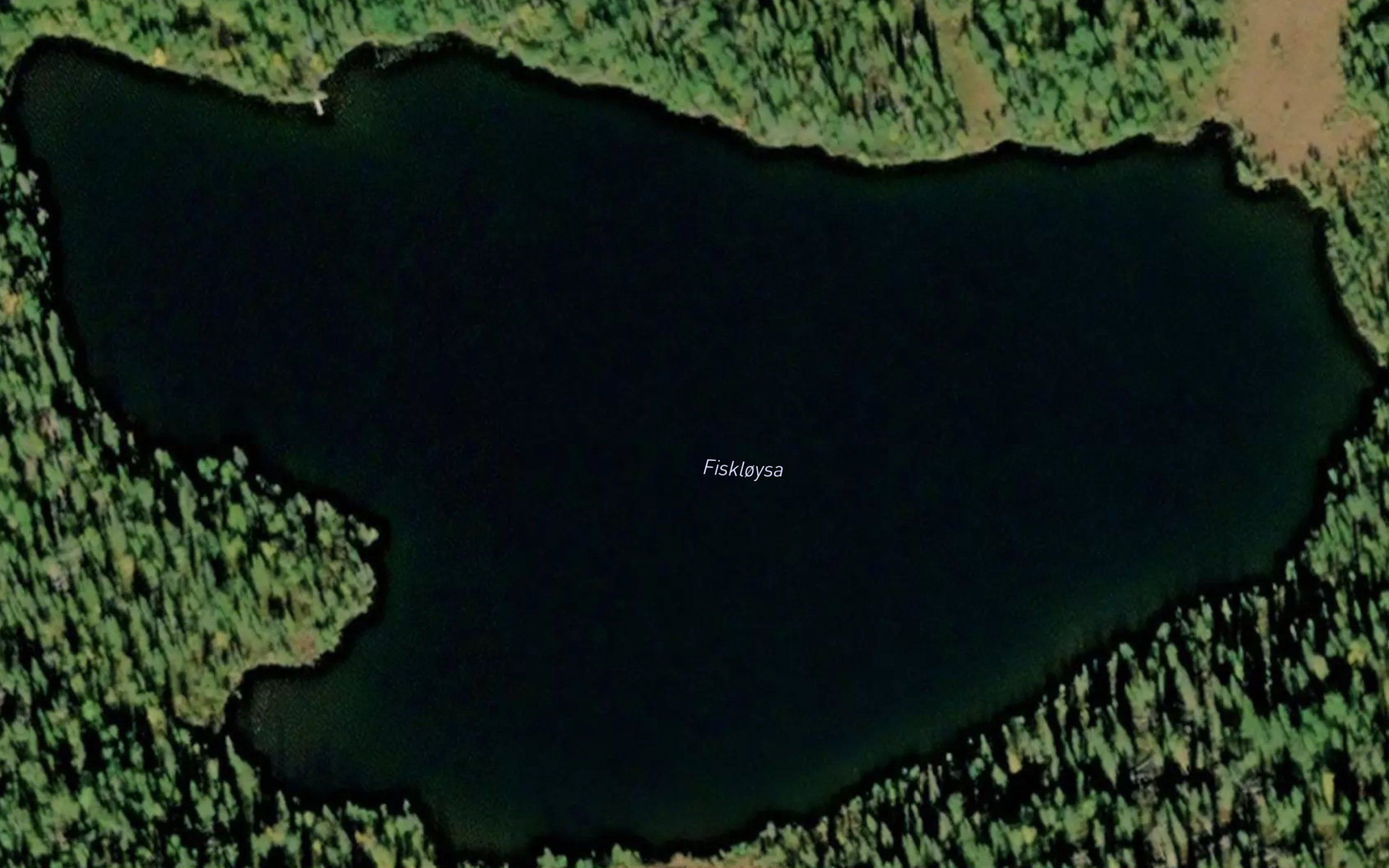 Fiskeloysa