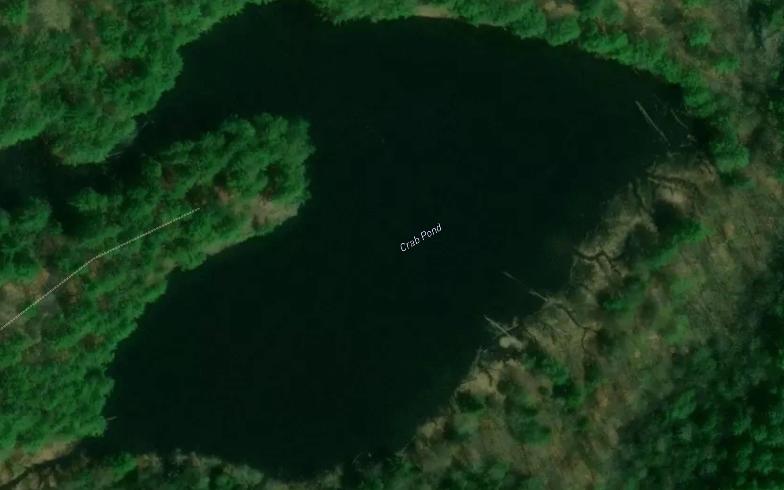Crab Pond