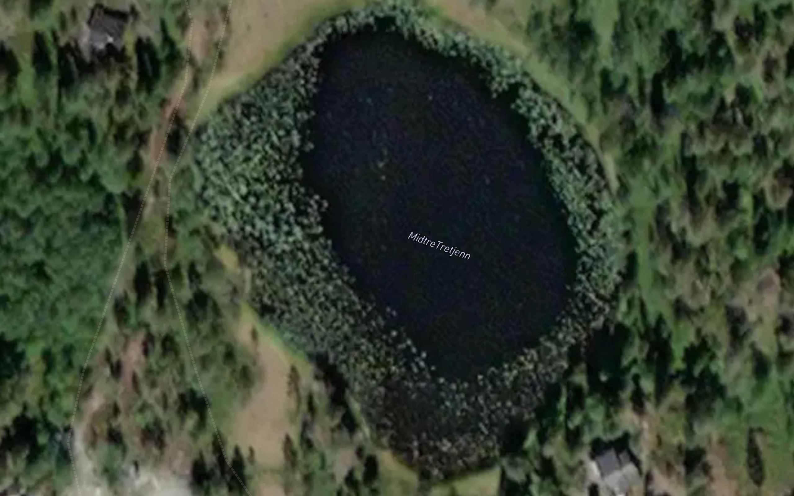 MidtreTretjenn