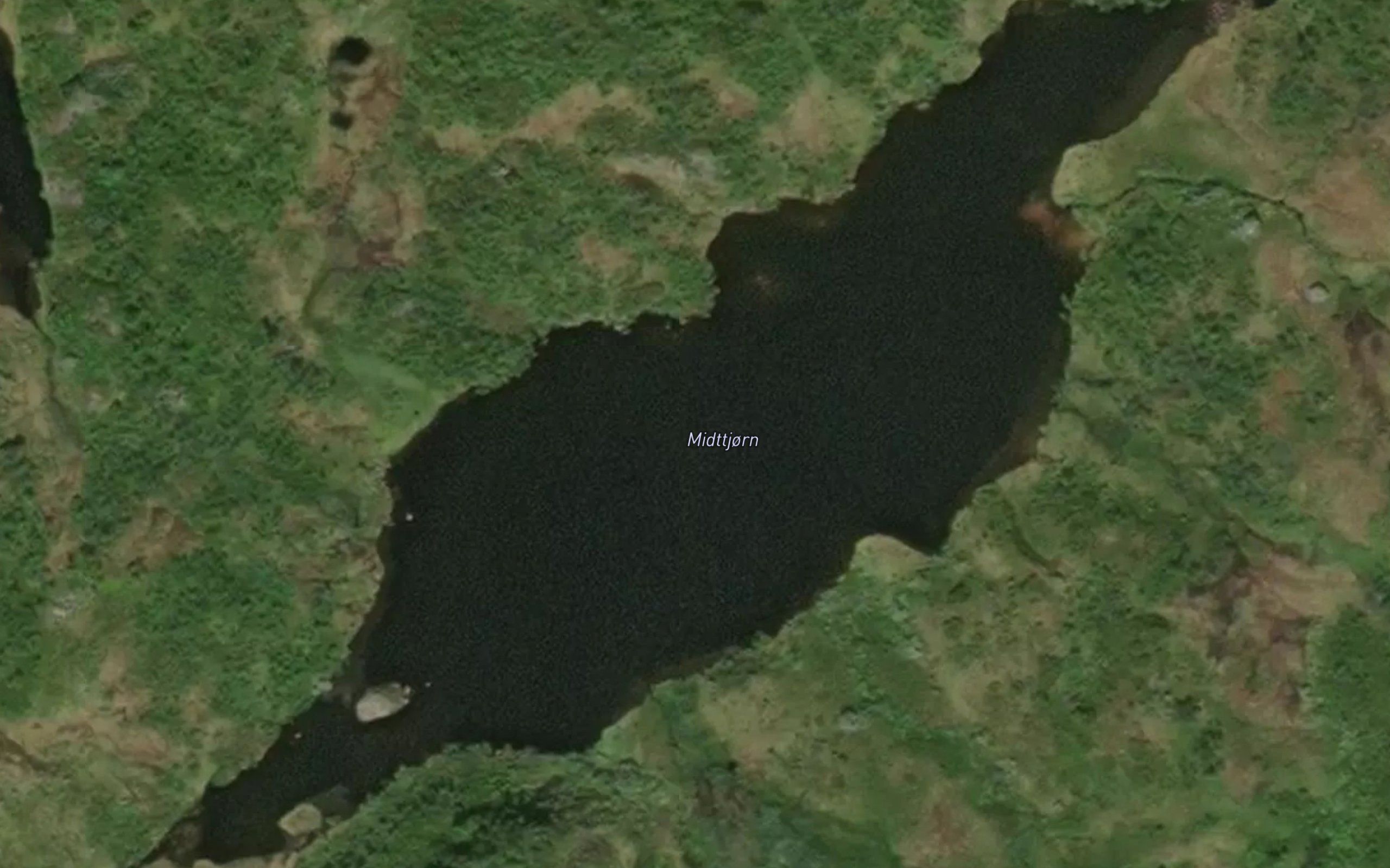 Midttjorn