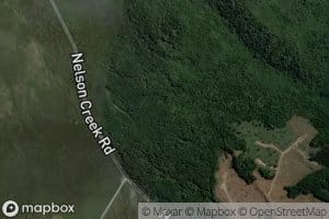 Burns Creek