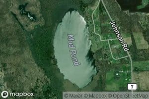 Mud Pond