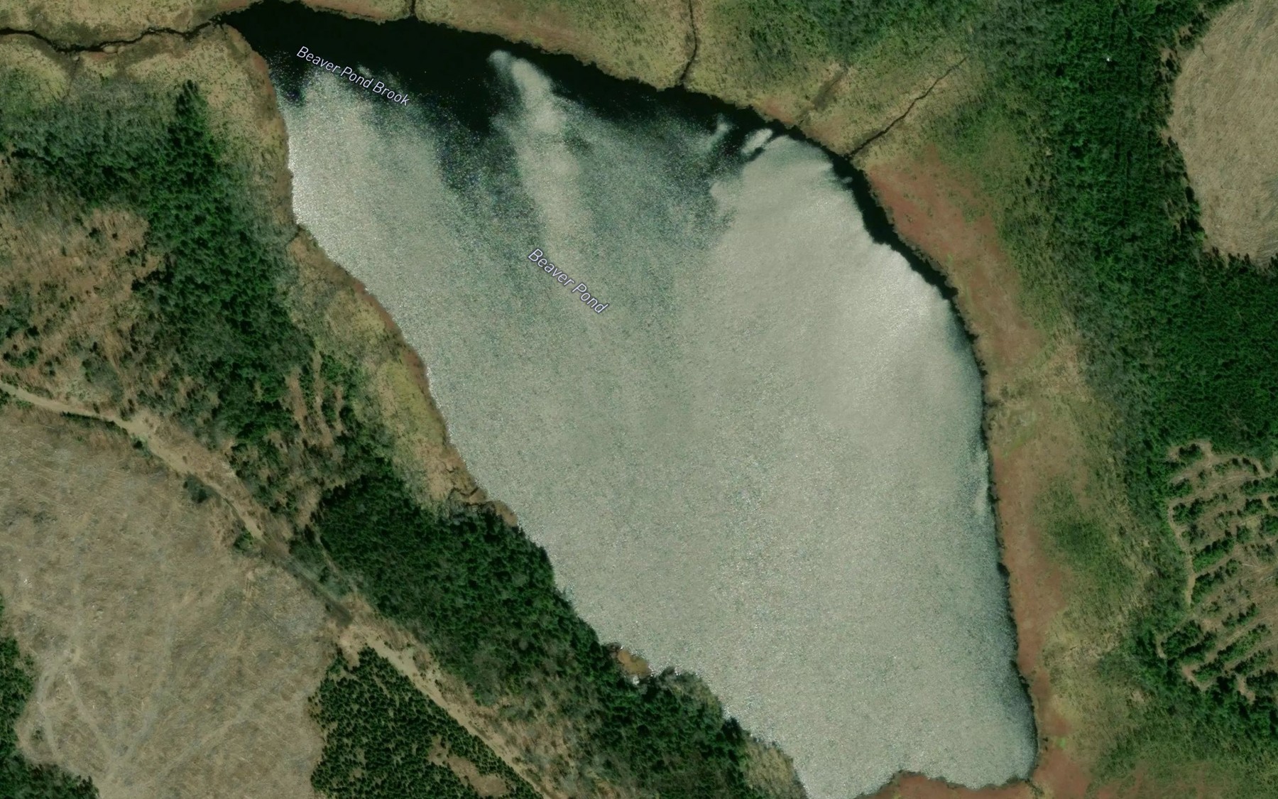 Satellite map of the Beaver Pond