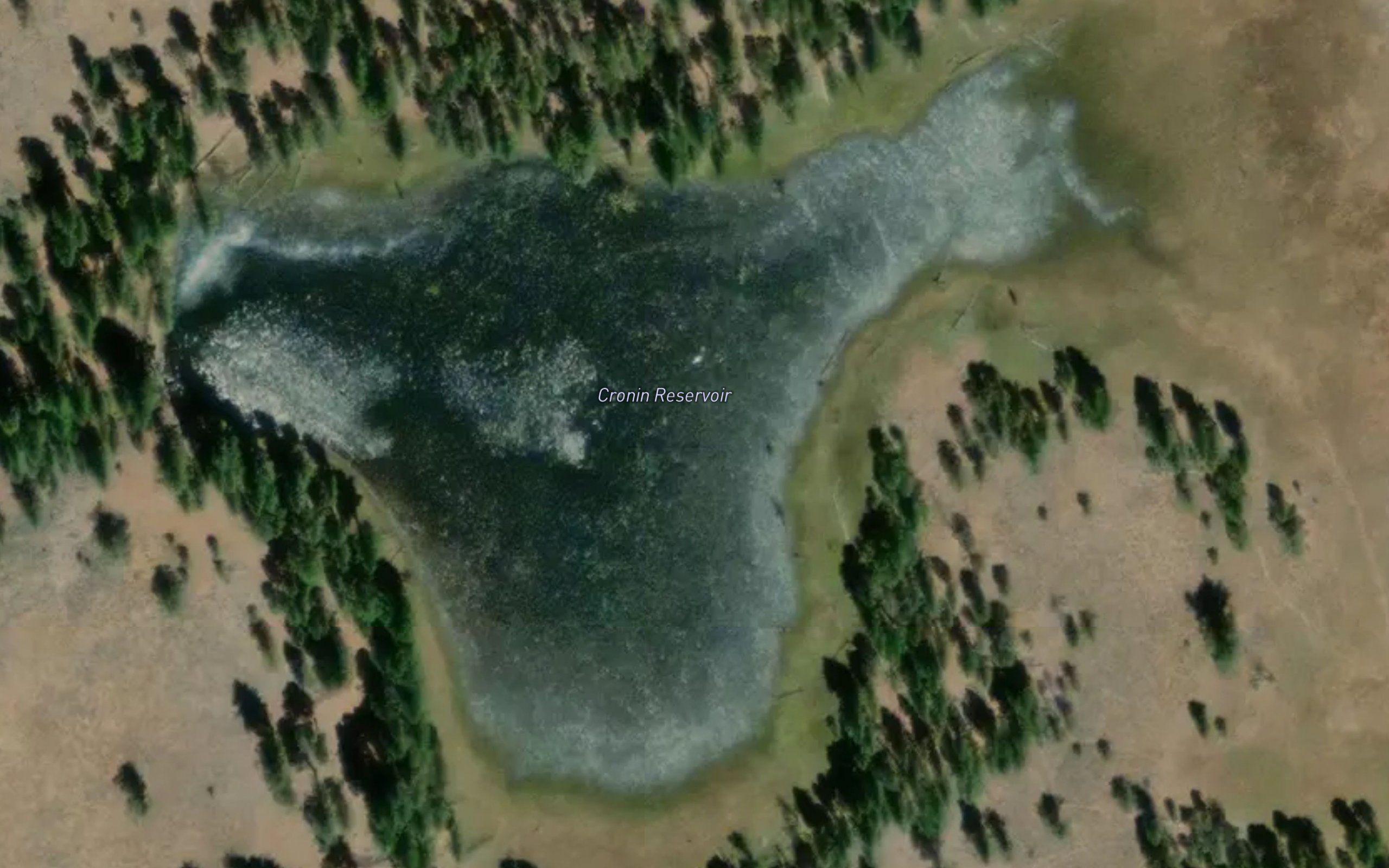 Cronin Reservoir