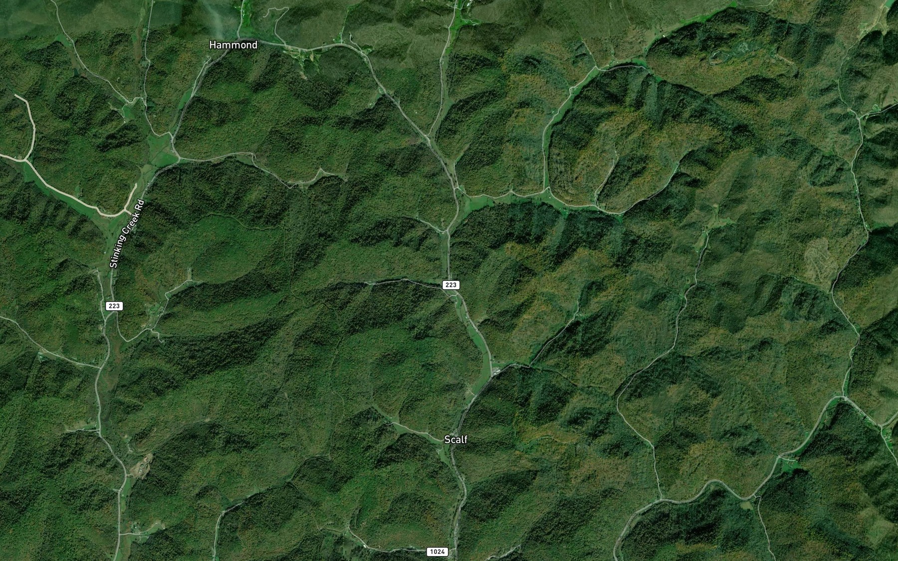 Satellite map of the Big Beech Branch