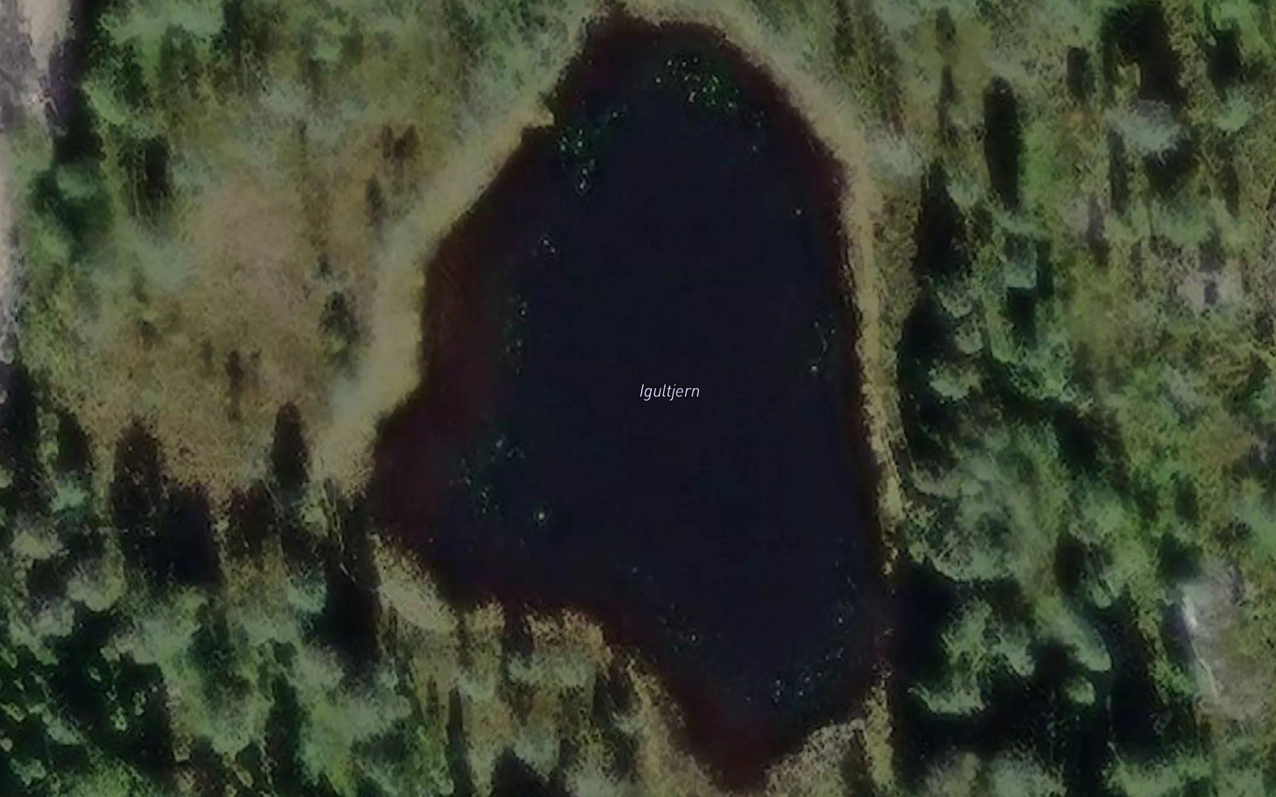 Igultjern