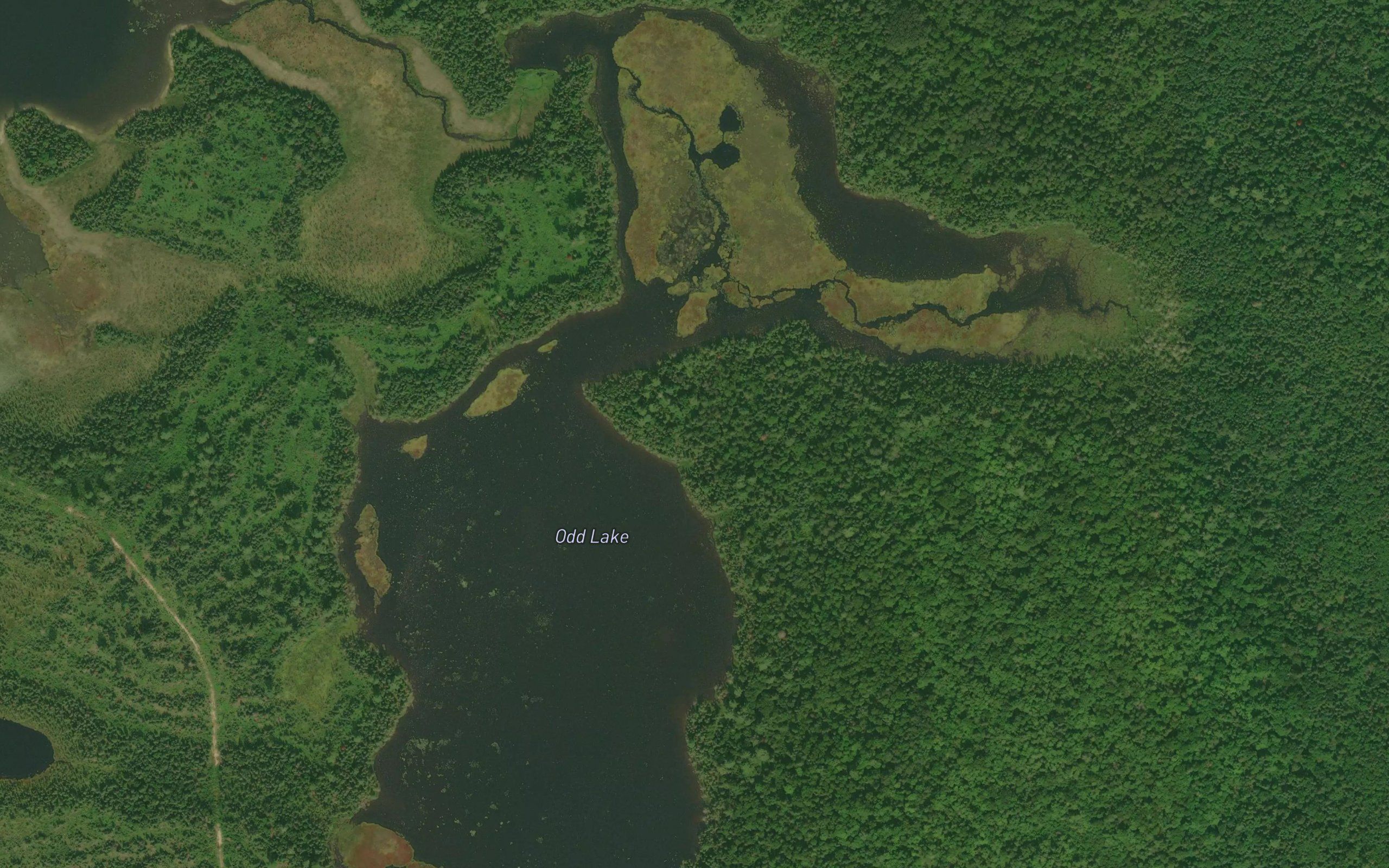 Odd Lake
